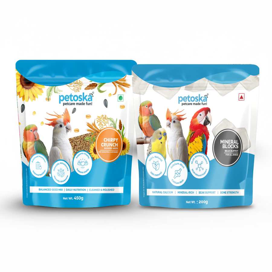 Bird Parent Starter Kit – Food & Treats