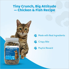 Kitten Cat Biscuits 