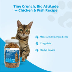 Cat Foods 