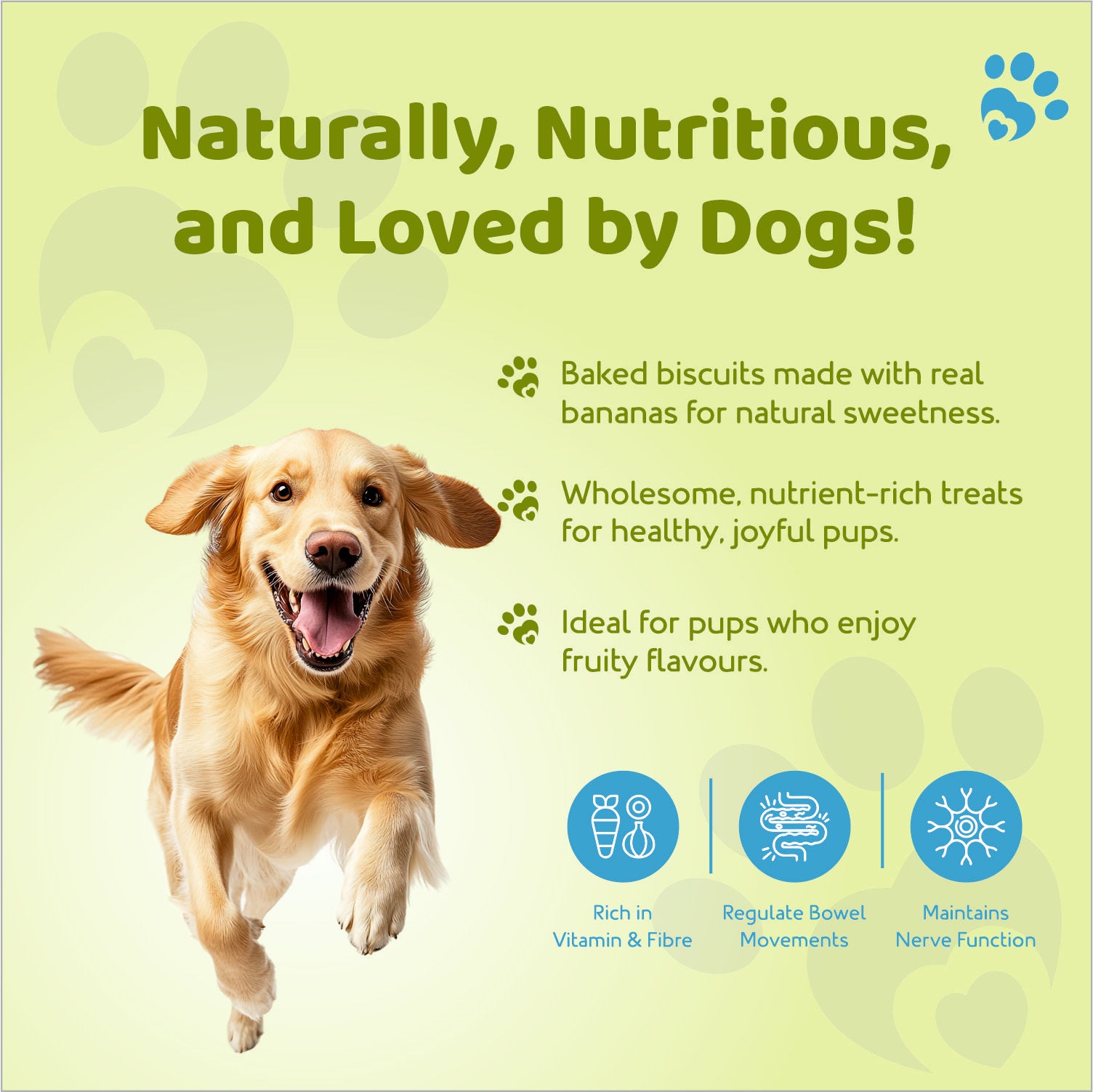 Petoska crunchy banana flavored dog biscuits