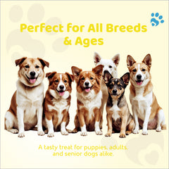 Petoska Dog Treats – Milk & Cheese Stick 100g | Nutritious Treats