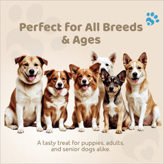 Petoska Dog Treats – Mini Meat Bones, 100g | Chewy Bone