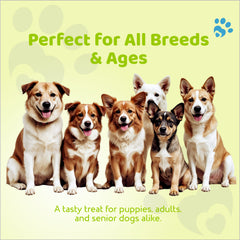 Petoska Dog Treat Watermelon & Chicken Sticks - 100gms