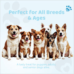 Petoska Dog Treats – Fish & Potato Sticks, 100g | Omega-3 Protein Sticks