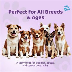 Petoska Dog Treats – Chicken Salami Treats 100g | Smoky & Chewy Protein