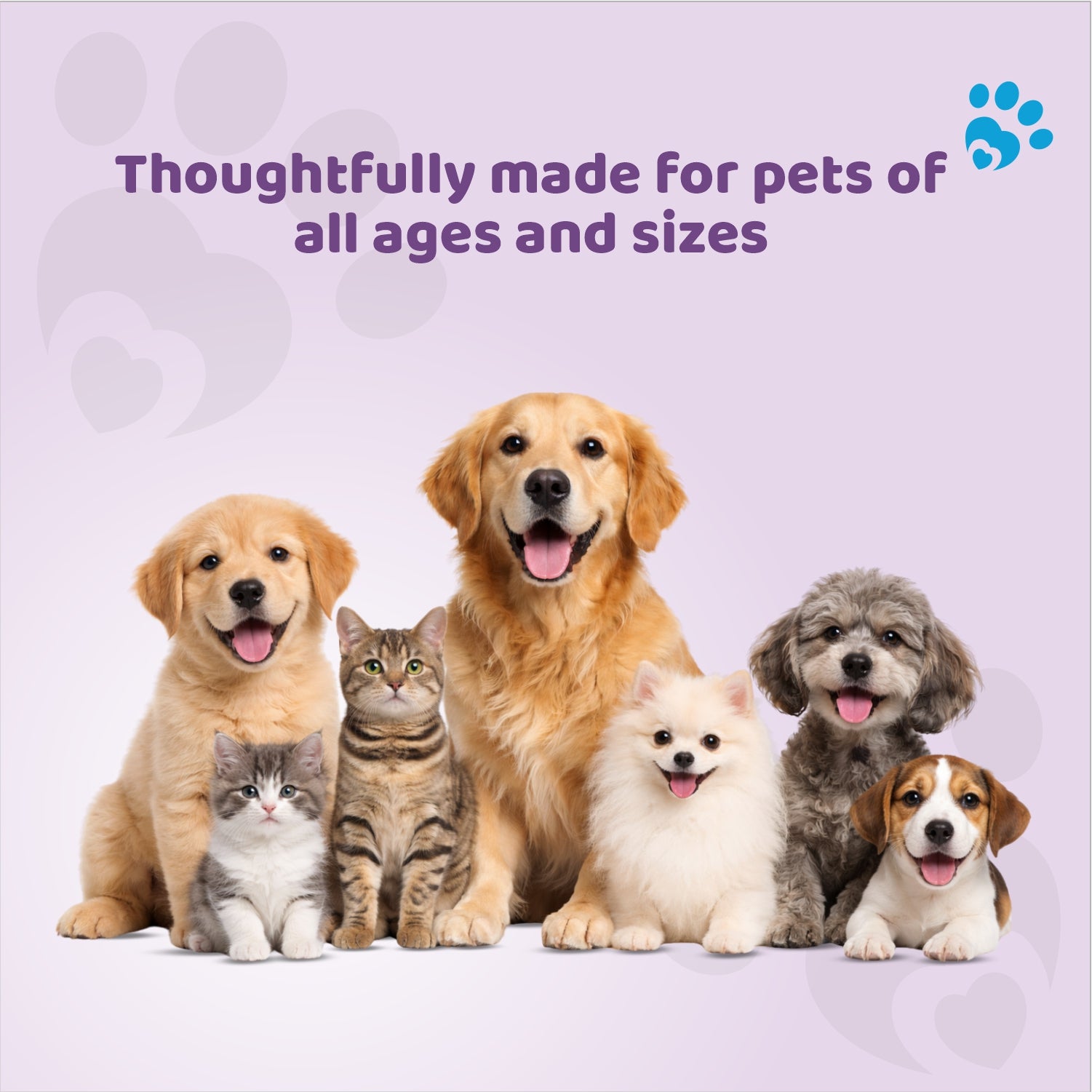 Cleansing wipes for Dog