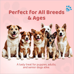 Petoska - Dog Smiley Treats – Chicken & Sweet Potato (100gms)