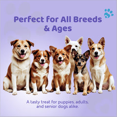 Petoska Dog Treats – Chicken & Sweet Potato, 100g | Air Dried Sticks