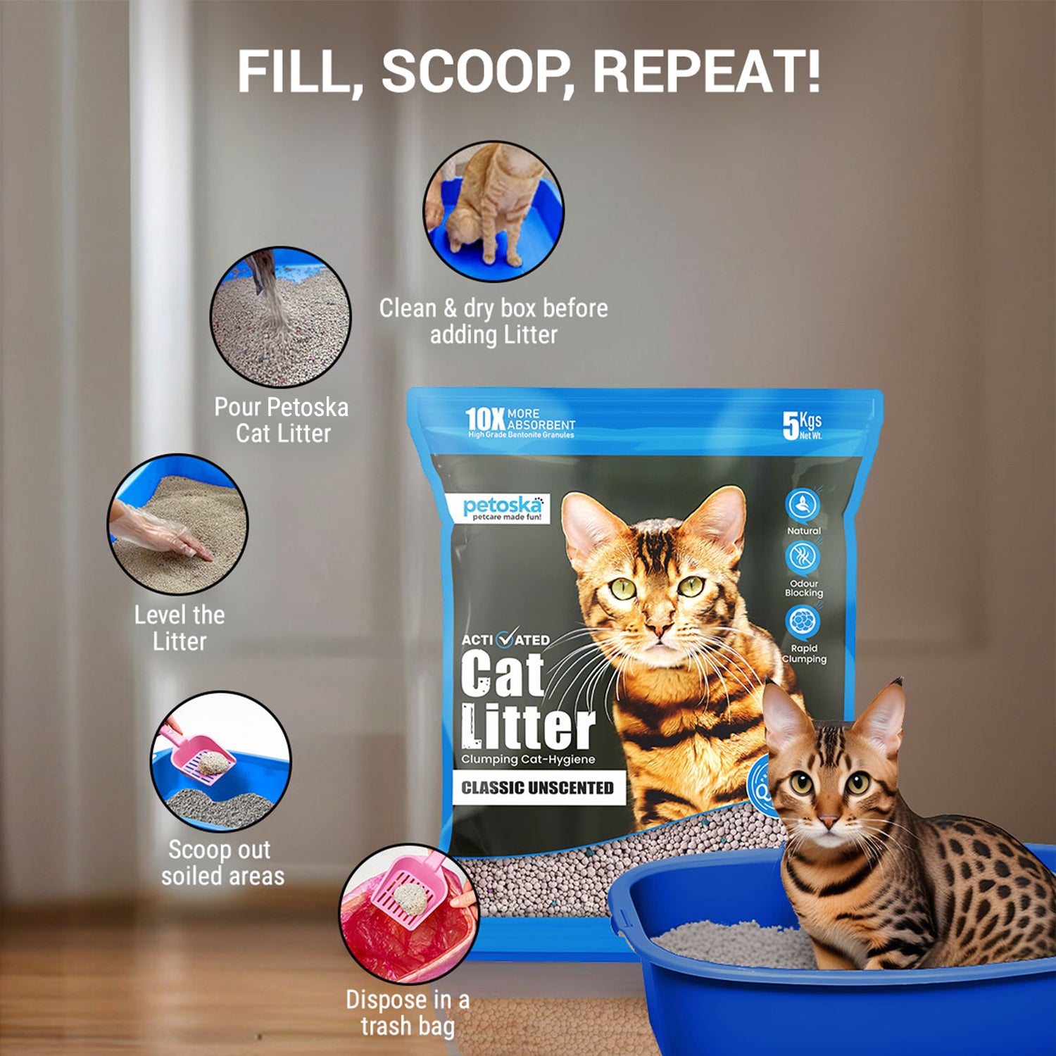 Cat litter online