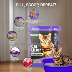 Petoska Activated Cat Litter Quick Clumping Low Dust & Odor Locking for Cats, Lavender & Green Apple, (2 Packs of 5Kg)