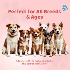 Petoska Dog Treats – Chicken & Sweet Potato, 100g | Smiley Treats