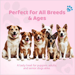 Petoska Dog Treats – Chicken & Strawberry Donuts, 100g