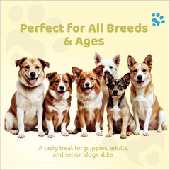 Petoska Dog Treats – Chicken Banana Dog 100g