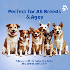 Petoska Dog Treats –  Chicken & Oats Stick, 100g | Training treats