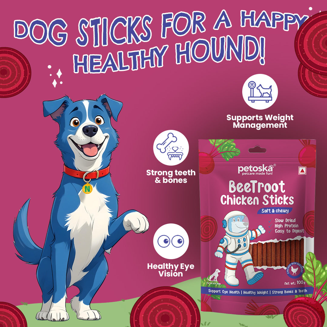 Dog treats online 