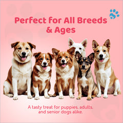 Petoska Dog Treats – Chicken & Pomegranate, 100g | Natural Chewy Sticks