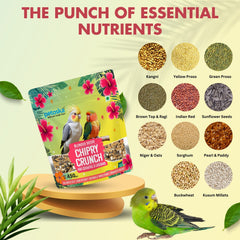 Petoska Blended Seeds for Cockatiel & Lovebirds Natural Balanced Food Mix, Balanced Nutrition for all age Birds, 450gms