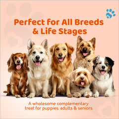 Dog Biscuits Chicken & Carrot Daily Nutrition (500gms)