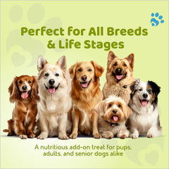 Petoska Crunchy Dog Biscuits 