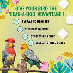 Petoska Cuttlefish Bone Mineral Block Calcium Feed for All Birds, Natural Nutrition & Vet Verified, 450gms