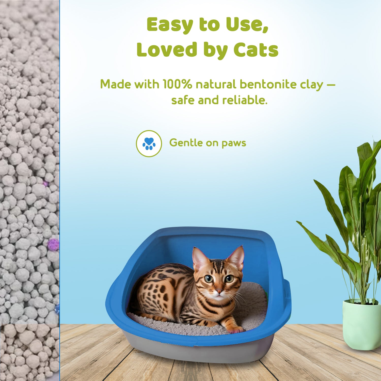 Bentonite cat litter for kitten