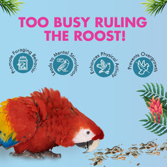 Petoska Macaw Munch Natural Seeds Mix for Macaw Parrot, Blend for Healthy Diet & Active Birds 450gms
