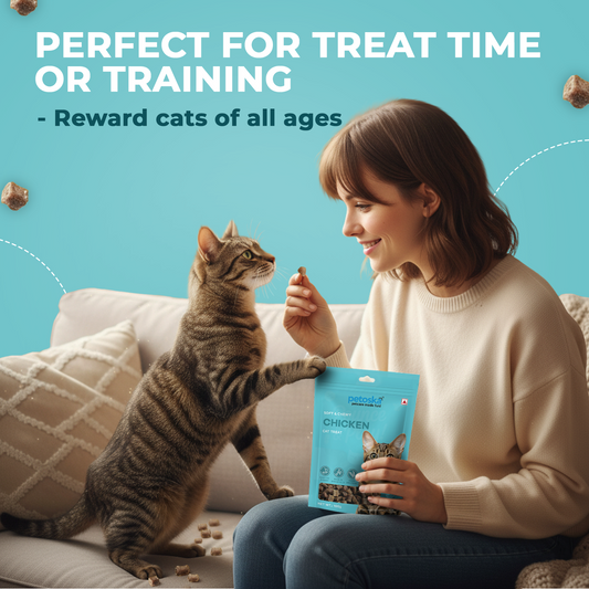 cat treat for kittens