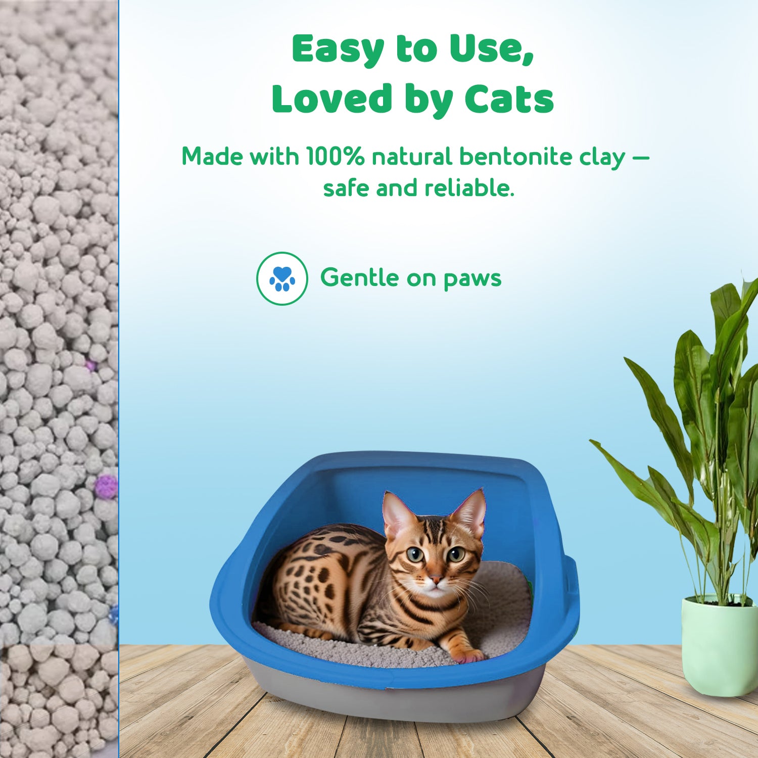 odor control cat litter