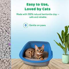 odor control cat litter