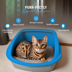 Odour control cat litter