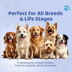 Petoska All Breed Dog Biscuits