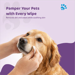 Pet Wet Wipes in Oatmeal, Aloe Vera & Lavender 15 x 20 cms & 80 Pulls (Pack of 2)