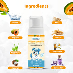 dog waterless shampoo