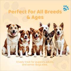 Petoska Dog Treats –  Chicken & Honey Stick, 100g | Chewy treats