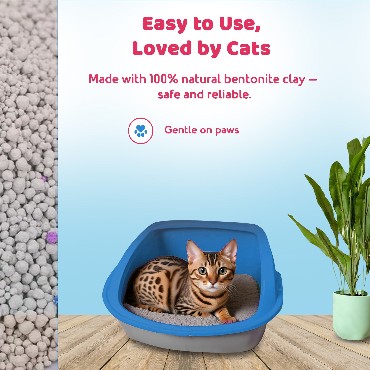 bentonite cat litter