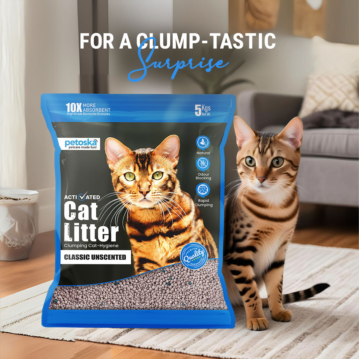 cat litter sand