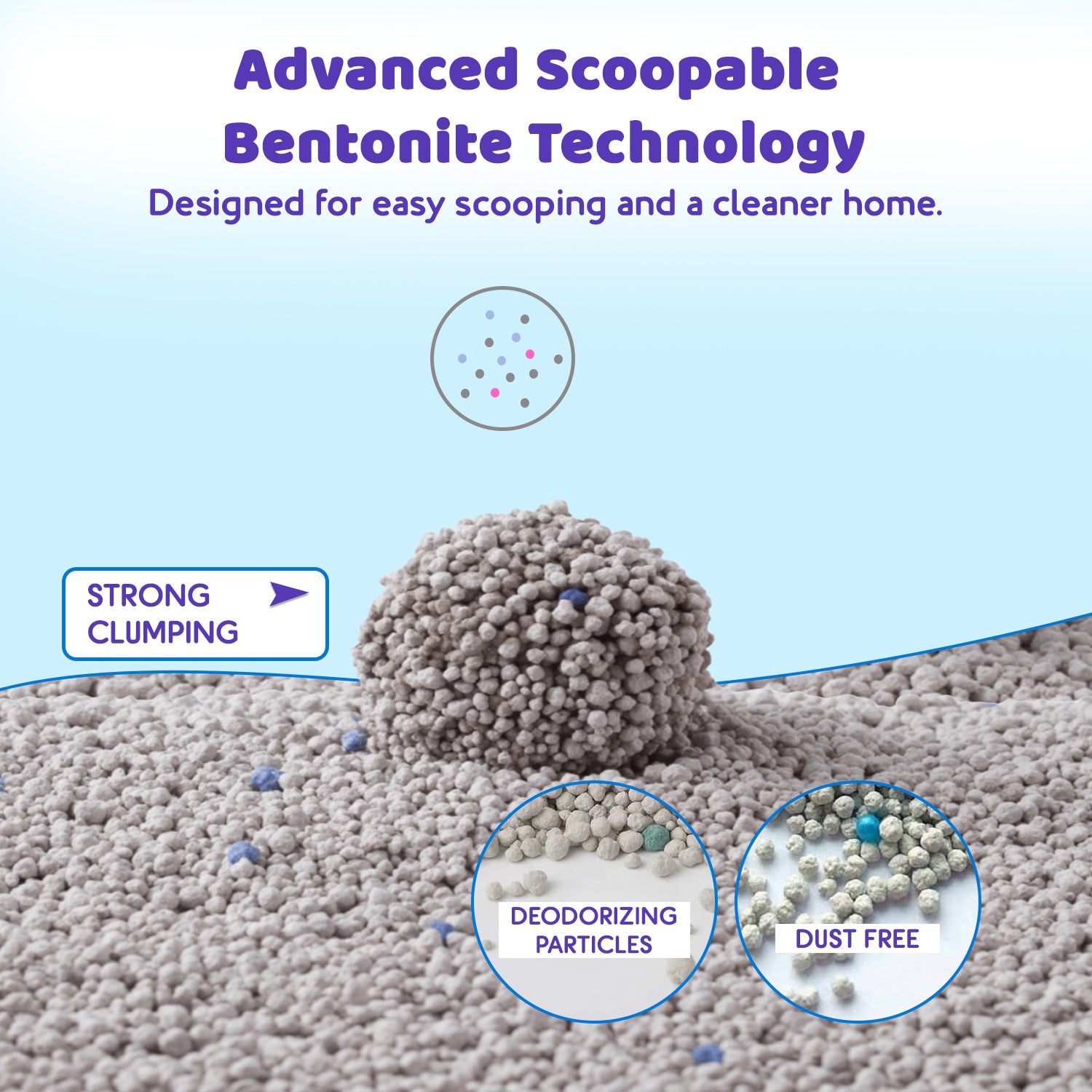 cat litter for kittens