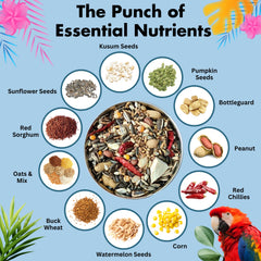 Petoska Macaw Munch Natural Seeds Mix for Macaw Parrot, Blend for Healthy Diet & Active Birds 450gms