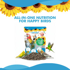 Chirpy Chips Sunflower Seeds for All Birds (450gms)