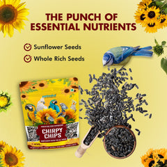 Birds seeds