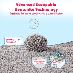 Clumping cat litter for kitten