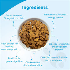 Petoska Crunchy Cat Biscuit Salmon & Broccoli, 250 gms