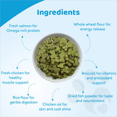 Petoska Crunchy Cat Biscuit Salmon & Broccoli, 250 gms