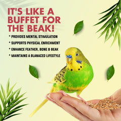 Petoska Blended Seeds for Cockatiel & Lovebirds Natural Balanced Food Mix, Balanced Nutrition for all age Birds, 450gms