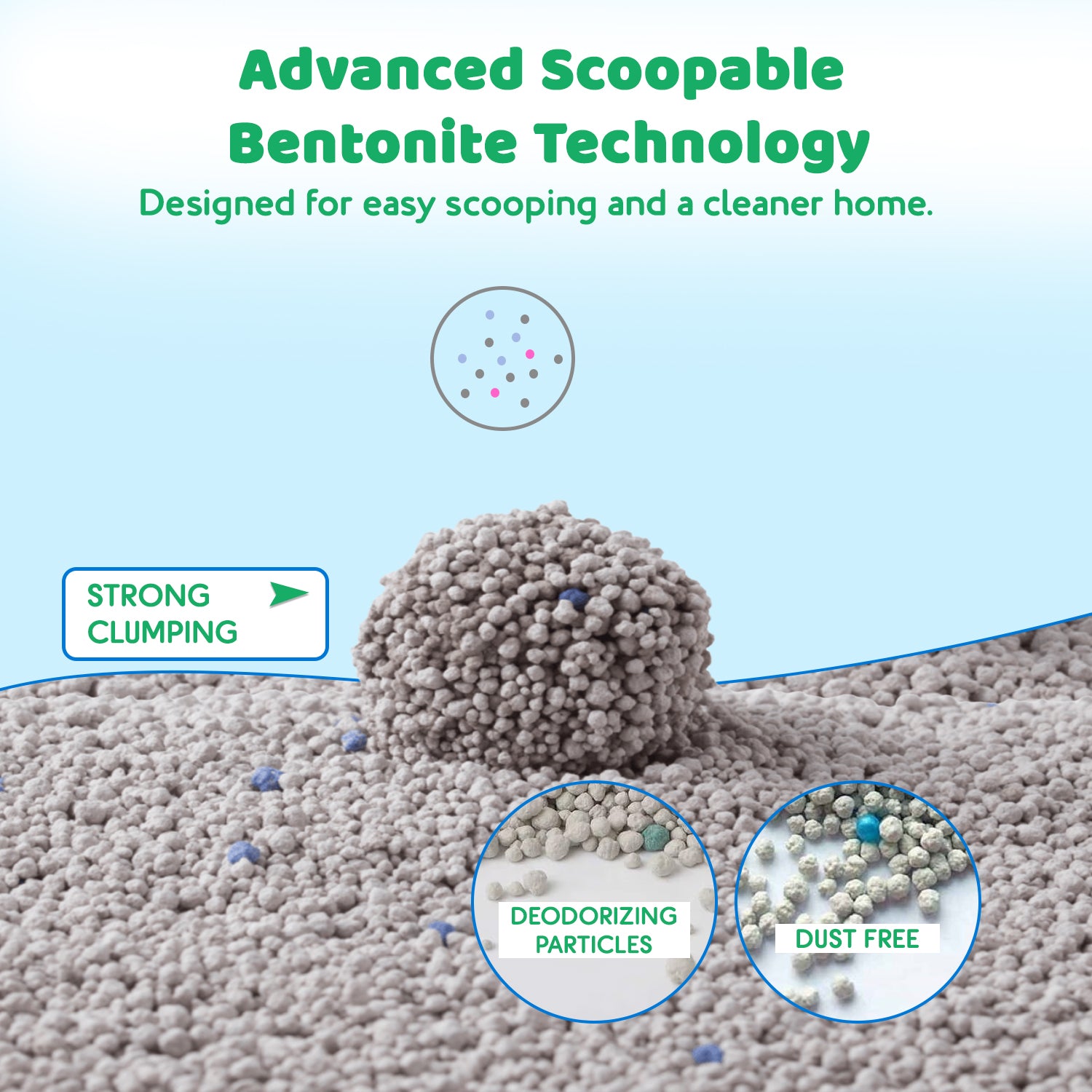 cat litter for kittens