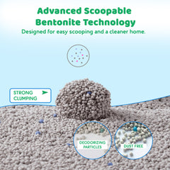 cat litter for kittens