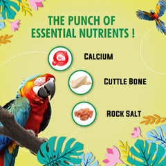 Petoska Cuttlefish Bone Mineral Block Calcium Feed for All Birds, Natural Nutrition & Vet Verified, 450gms