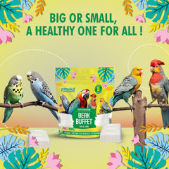 Petoska Cuttlefish Bone Mineral Block Calcium Feed for All Birds, Natural Nutrition & Vet Verified, 450gms