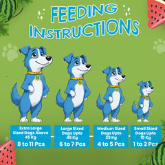 Petoska Watermelon Chicken Sticks Real Fruit & Chicken Easy to Digest, 100g Each - Pack Of 10.