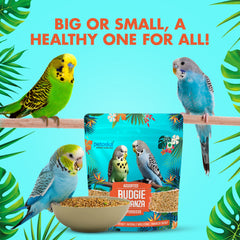 Petoska Budgie Bonanza Assorted Super Seeds Nutritious & Delicious Treat for Budgies, 450gms